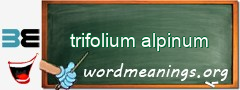 WordMeaning blackboard for trifolium alpinum